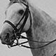 [Out for an early morning canter at Virginia Beach, where the air is filled with the tang of the sea], [1939]. 1939 World's Fair Photograph Collection, Special Collections Prints & Photographs, Library of Virginia, Richmond, Va. icon