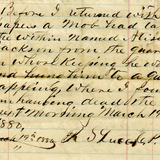 Hilliard, Willie and Alison Jackson: Coroner's Inquisition, 1880-03-20. Virginia Untold: the African American Narrative digital collection, Library of Virginia. icon