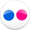 Flickr Icon