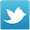 Twitter Icon